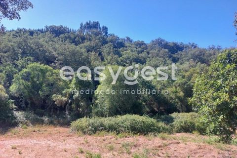 Farm hus i Odemira, Beja, Odemira - € 53.000 | Ref: BJ93873 - foto 14