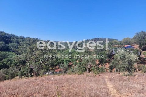 Farm hus i Odemira, Beja, Odemira - € 53.000 | Ref: BJ93873 - foto 15
