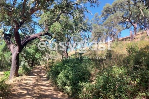 Farm hus i Odemira, Beja, Odemira - € 53.000 | Ref: BJ93873 - foto 16