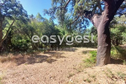 Farm hus i Odemira, Beja, Odemira - € 53.000 | Ref: BJ93873 - foto 17
