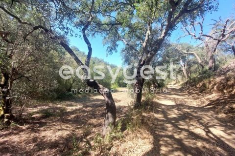 Farm hus i Odemira, Beja, Odemira - € 53.000 | Ref: BJ93873 - foto 18