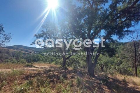 Farm hus i Odemira, Beja, Odemira - € 53.000 | Ref: BJ93873 - foto 19