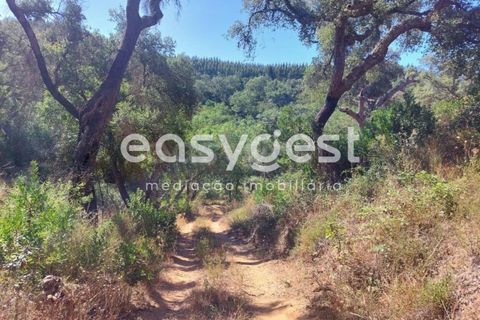 Farm hus i Odemira, Beja, Odemira - € 53.000 | Ref: BJ93873 - foto 21