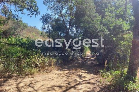 Farm hus i Odemira, Beja, Odemira - € 53.000 | Ref: BJ93873 - foto 22