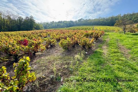 Villa a Chénas, Rhone, Chénas - € 327.000 | Ref: 830030240422 - foto 21