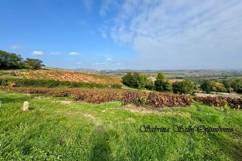 Villa a Chénas, Rhone, Chénas - € 327.000 | Ref: 830030240422 - foto 23