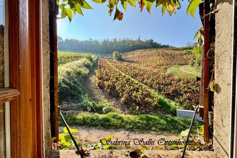 Villa a Chénas, Rhone, Chénas - € 327.000 | Ref: 830030240422 - foto 24