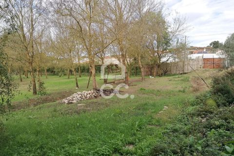 Villa a Cadaval, Lisbon, Cadaval - € 355.000 | Ref: 321/M/01251 - foto 42