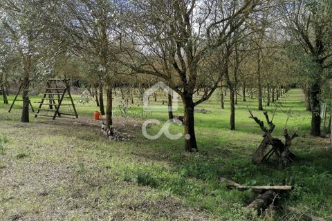 Villa a Cadaval, Lisbon, Cadaval - € 355.000 | Ref: 321/M/01251 - foto 46