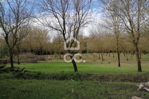 Villa a Cadaval, Lisbon, Cadaval - € 355.000 | Ref: 321/M/01251 - foto 47
