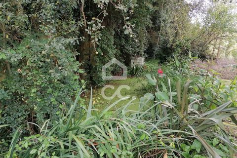 Villa a Cadaval, Lisbon, Cadaval - € 355.000 | Ref: 321/M/01251 - foto 48