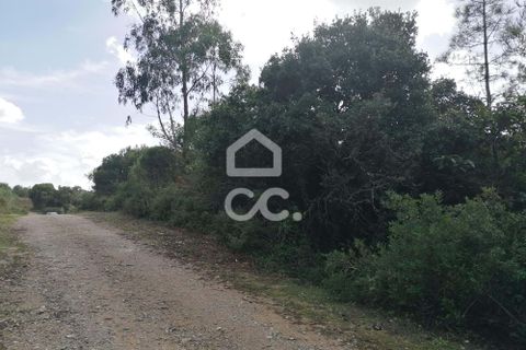 Helårsgrund i Obidos, Leiria, Obidos - € 12.500 | Ref: 321/T/01252 - foto 4