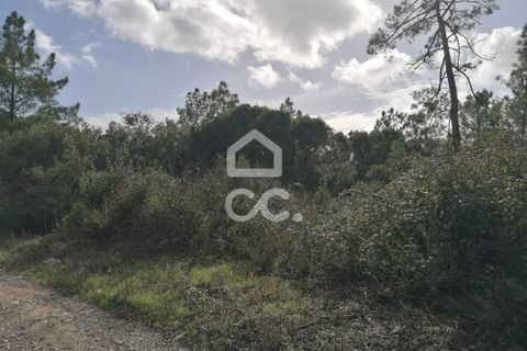 Helårsgrund i Obidos, Leiria, Obidos - € 12.500 | Ref: 321/T/01252 - foto 5