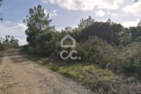 Helårsgrund i Obidos, Leiria, Obidos - € 12.500 | Ref: 321/T/01252 - foto 6