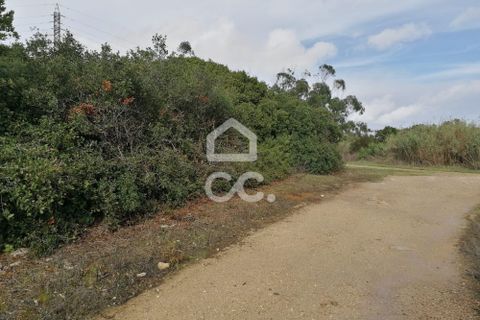 Helårsgrund i Obidos, Leiria, Obidos - € 12.500 | Ref: 321/T/01252 - foto 7