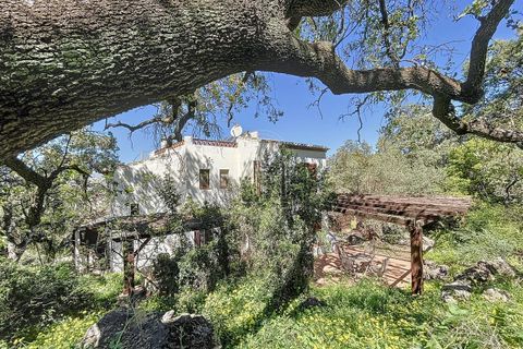 Cortijo i Comares, Malaga, Comares - € 299 000 | Ref: R5206006 - foto 3