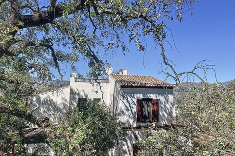 Cortijo i Comares, Malaga, Comares - € 299 000 | Ref: R5206006 - foto 4