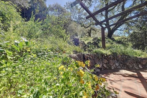Cortijo i Comares, Malaga, Comares - € 299 000 | Ref: R5206006 - foto 5