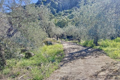 Cortijo i Comares, Malaga, Comares - € 299 000 | Ref: R5206006 - foto 7