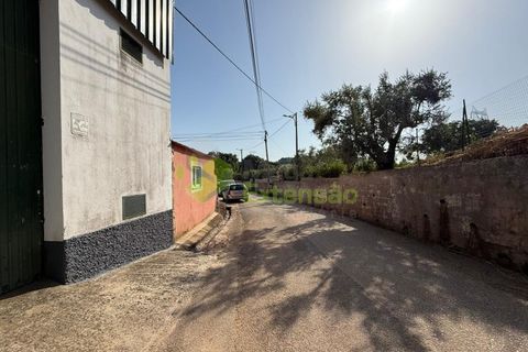 L'establiment comercial a Cadaval, Lisbon, Cadaval - € 500/mes | Ref: 2025 - foto 4