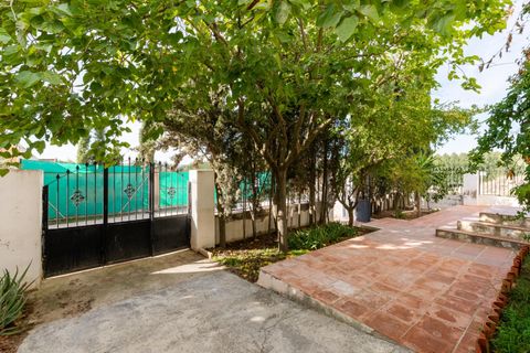 Landejendom i Lachar, Granada, Lachar - € 199.900 | Ref: GR3963/8251 - foto 2