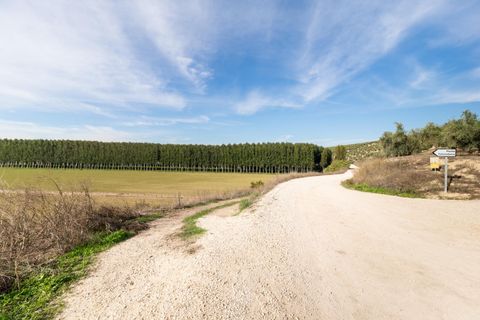 Landejendom i Lachar, Granada, Lachar - € 199.900 | Ref: GR3963/8251 - foto 38