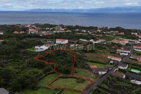 Helårsgrund i Sao Roque do Pico, Pico, Sao Roque do Pico - € 49.000 | Ref: 374250187 - foto 1