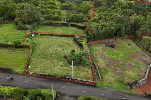 Helårsgrund i Sao Roque do Pico, Pico, Sao Roque do Pico - € 49.000 | Ref: 374250187 - foto 4