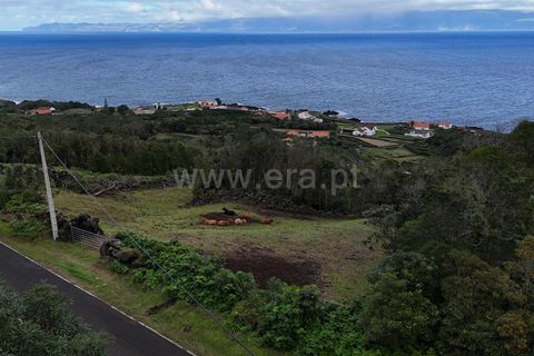 Helårsgrund i Sao Roque do Pico, Pico, Sao Roque do Pico - € 150.000 | Ref: 374250266 - foto 2