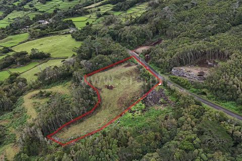 Helårsgrund i Sao Roque do Pico, Pico, Sao Roque do Pico - € 150.000 | Ref: 374250266 - foto 3