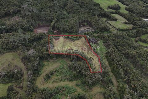 Helårsgrund i Sao Roque do Pico, Pico, Sao Roque do Pico - € 150.000 | Ref: 374250266 - foto 5