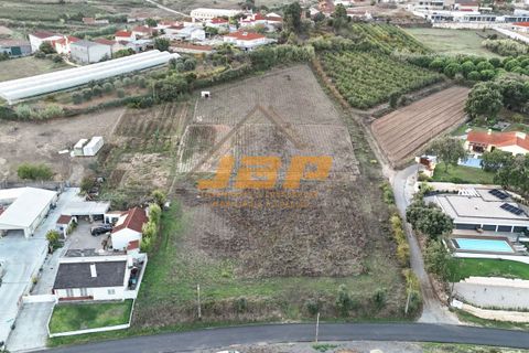 Helårsgrund i Alcobaca, Leiria, Alcobaca - € 160.000 | Ref: 0093 - foto 4