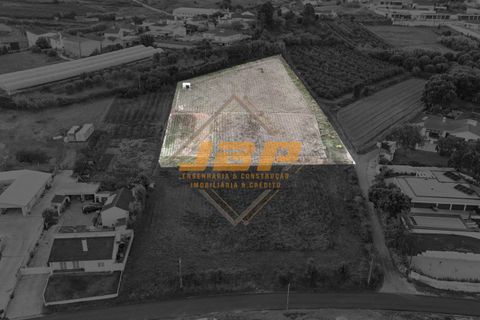 Helårsgrund i Alcobaca, Leiria, Alcobaca - € 160.000 | Ref: 0093 - foto 6