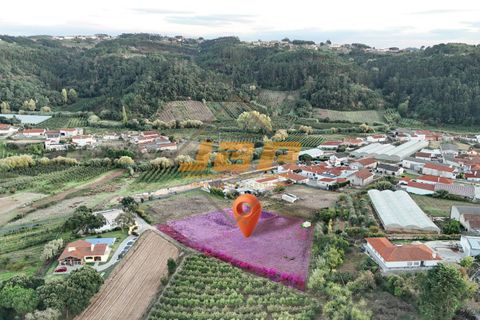 Helårsgrund i Alcobaca, Leiria, Alcobaca - € 160.000 | Ref: 0093 - foto 11