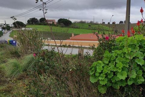 Terra a Alenquer, Lisbon, Alenquer - € 59.000 | Ref: 71548 - foto 2