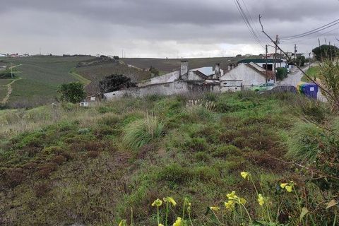 Terra a Alenquer, Lisbon, Alenquer - € 59.000 | Ref: 71548 - foto 10