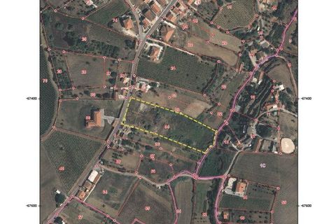 Terra a Alenquer, Lisbon, Alenquer - € 59.000 | Ref: 71548 - foto 12