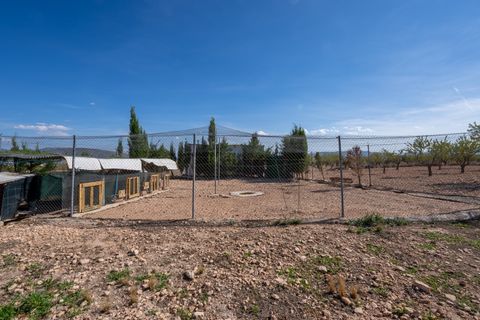 Landejendom i Jumilla, Murcia, Jumilla - € 125.000 | Ref: CF3062 - foto 26