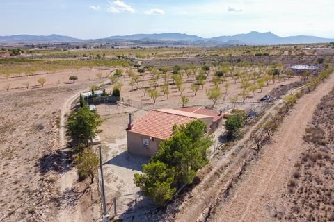 Landejendom i Jumilla, Murcia, Jumilla - € 125.000 | Ref: CF3062 - foto 28