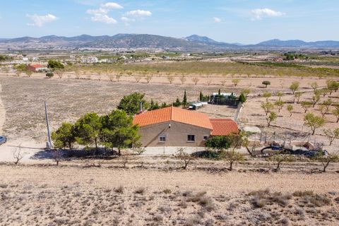 Landejendom i Jumilla, Murcia, Jumilla - € 125.000 | Ref: CF3062 - foto 29
