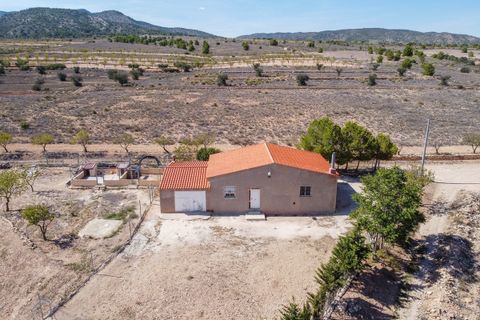 Landejendom i Jumilla, Murcia, Jumilla - € 125.000 | Ref: CF3062 - foto 30