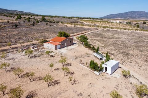 Landejendom i Jumilla, Murcia, Jumilla - € 125.000 | Ref: CF3062 - foto 31
