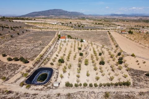 Landejendom i Jumilla, Murcia, Jumilla - € 125.000 | Ref: CF3062 - foto 32