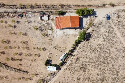 Landejendom i Jumilla, Murcia, Jumilla - € 125.000 | Ref: CF3062 - foto 34