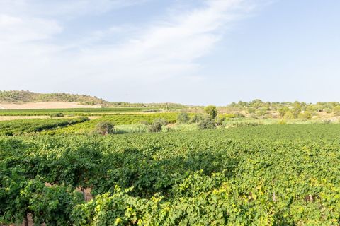 Villa in Valencia, Valencia, Valencia - € 1.000.000 | Ref: 232aa800-d187-48f6-9 - foto 16