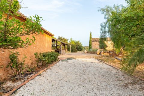 Villa in Valencia, Valencia, Valencia - € 1.000.000 | Ref: 232aa800-d187-48f6-9 - foto 18