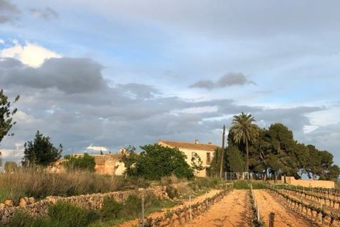 Villa in Valencia, Valencia, Valencia - € 1.000.000 | Ref: 232aa800-d187-48f6-9 - foto 32