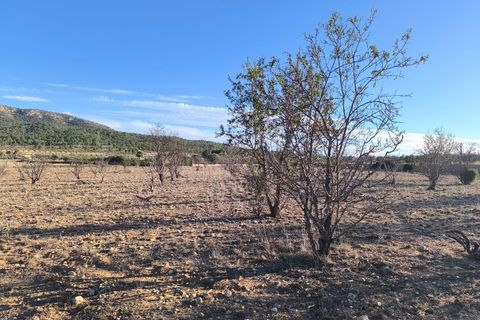 Helårsgrund i Salinas, Alicante, Salinas - € 42.000 | Ref: 4bc6f713-9882-447d-8 - foto 2