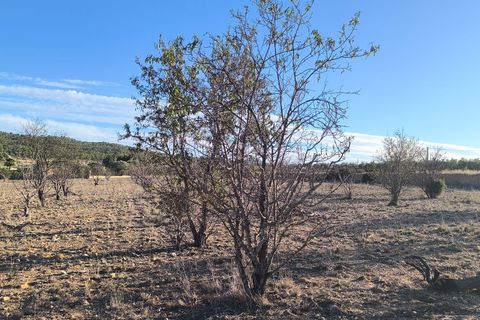 Helårsgrund i Salinas, Alicante, Salinas - € 42.000 | Ref: 4bc6f713-9882-447d-8 - foto 3