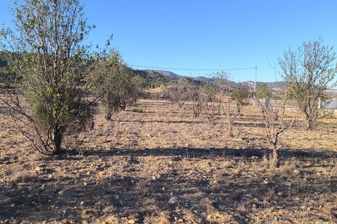 Helårsgrund i Salinas, Alicante, Salinas - € 42.000 | Ref: 4bc6f713-9882-447d-8 - foto 11
